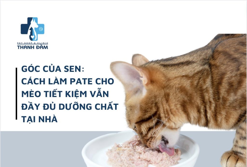 Cách làm pate cho mèo tiết kiệm vẫn đầy đủ dưỡng chất tại gia 