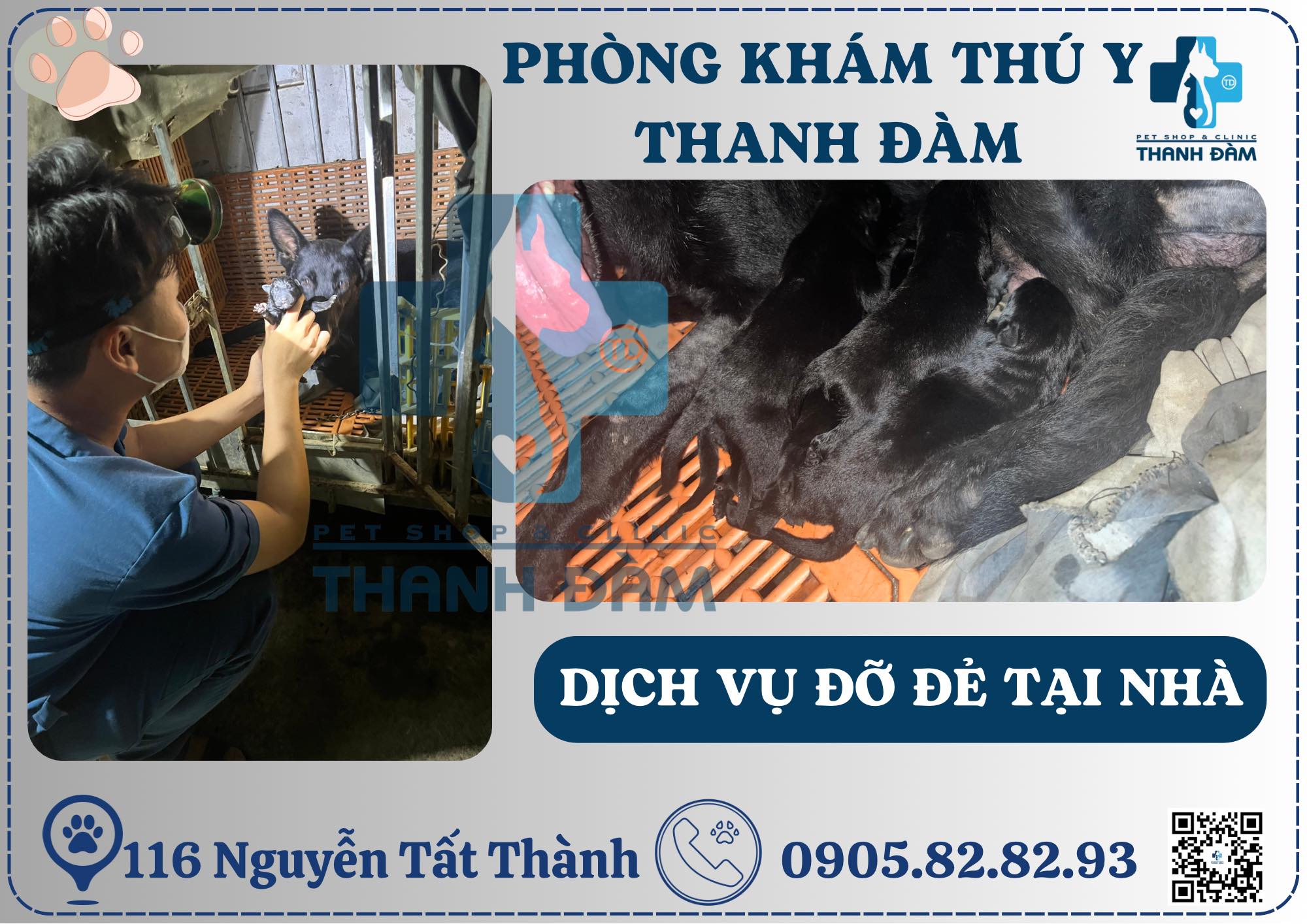 Dịch vụ đỡ đẻ tại nhà cho thú cưng – Thanh Đàm Pet